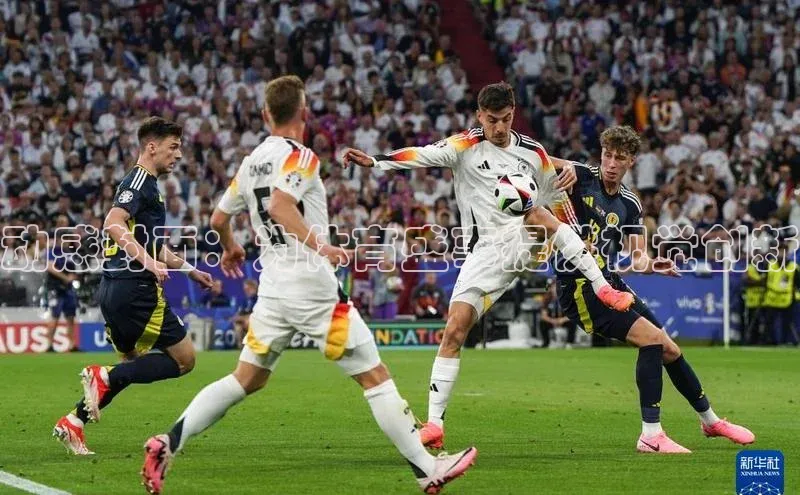 人生搏中国官网入口