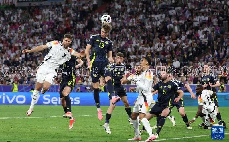 尊龙官方app下载